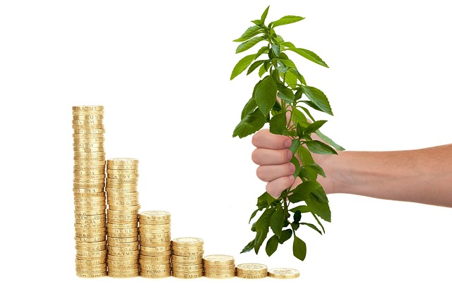 money, coin, investment